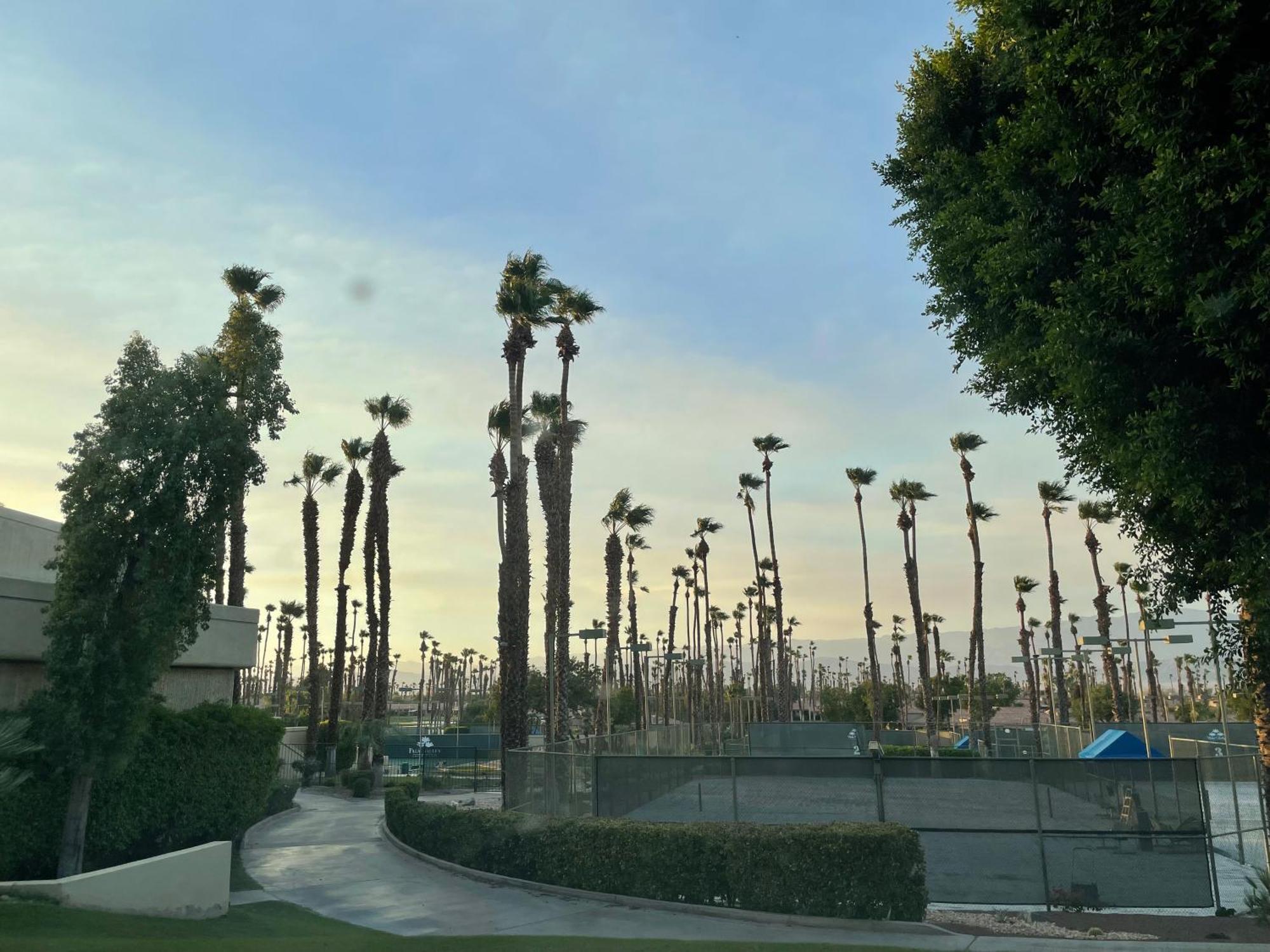 פאלם דזרט Palm Valley Cc Pickleball, Tennis, Gym, Clubhouse, Swimming Pools, Lux, Spac 2 Bdrms Den 2 Ba מראה חיצוני תמונה