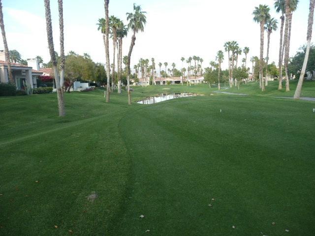 פאלם דזרט Palm Valley Cc Pickleball, Tennis, Gym, Clubhouse, Swimming Pools, Lux, Spac 2 Bdrms Den 2 Ba מראה חיצוני תמונה